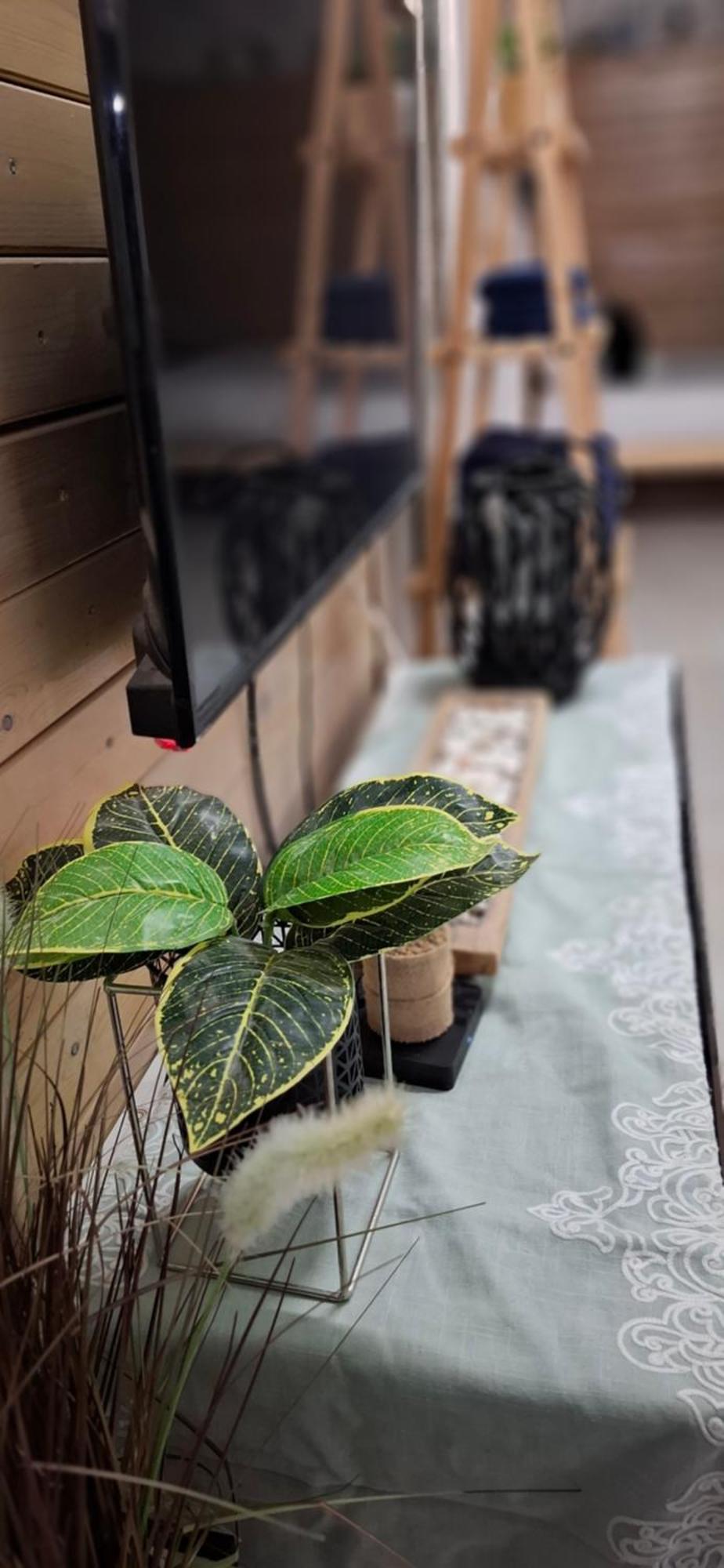 An Edom Suite 埃拉特 外观 照片
